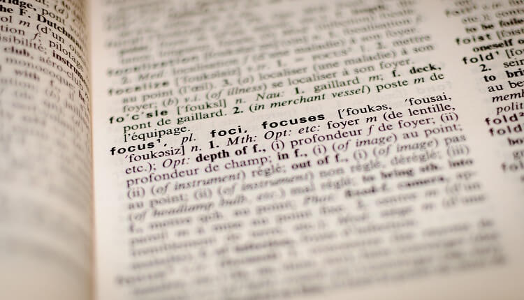 Not that Word Again - Synonym Book by Paging Through Lessons