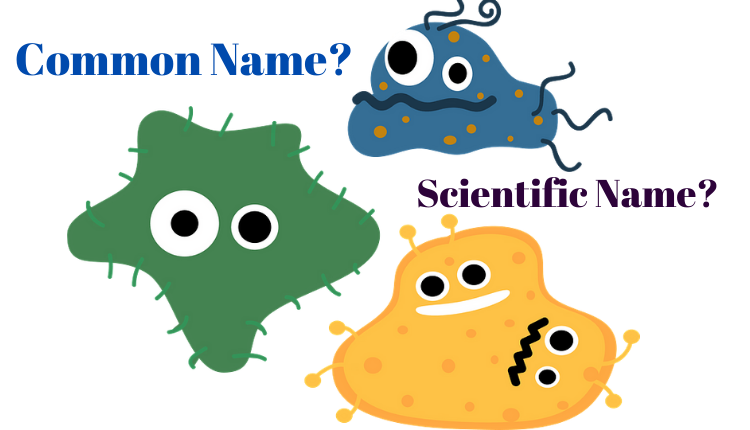 scientific names