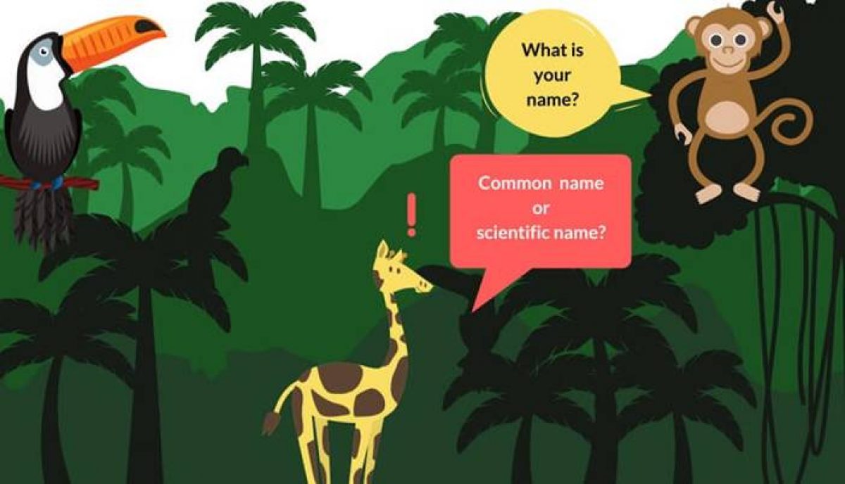 How to Write Scientific Names in Journal Manuscripts – Plant and Animal  Species (Part 1 of 2) Trinka